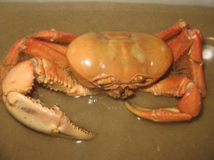 img_1278 img_1278