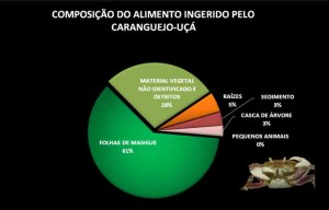 ucides alimentacao ucides alimentacao