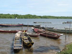 Indiaroba 017