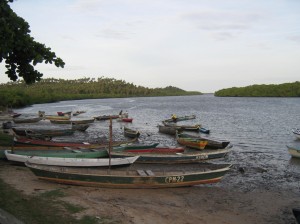Indiaroba 026