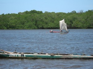 Indiaroba 034