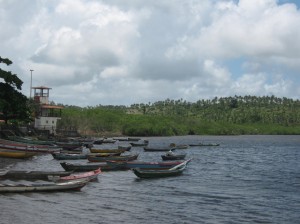 Indiaroba 103